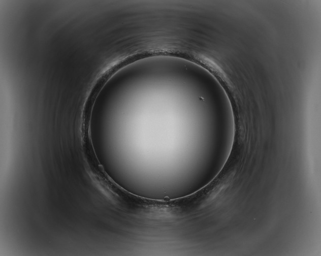 X0000086930439200704161427