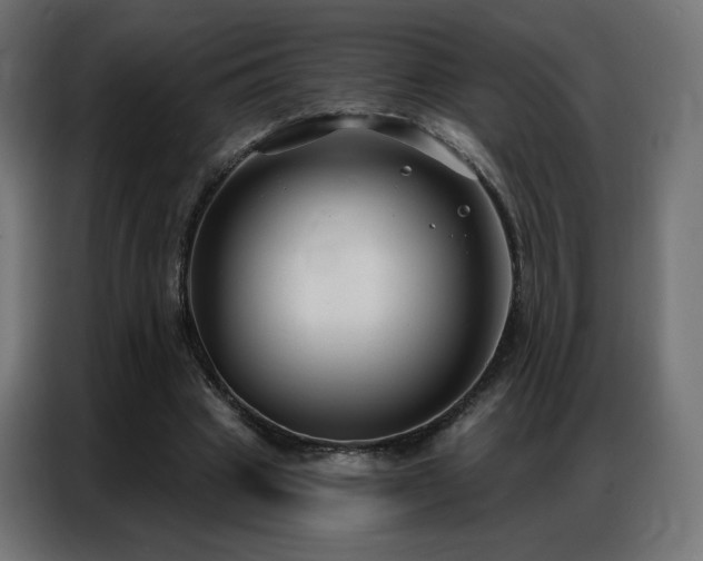 X0000086930441200704161428