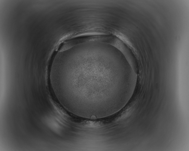 X0000086930442200704161428