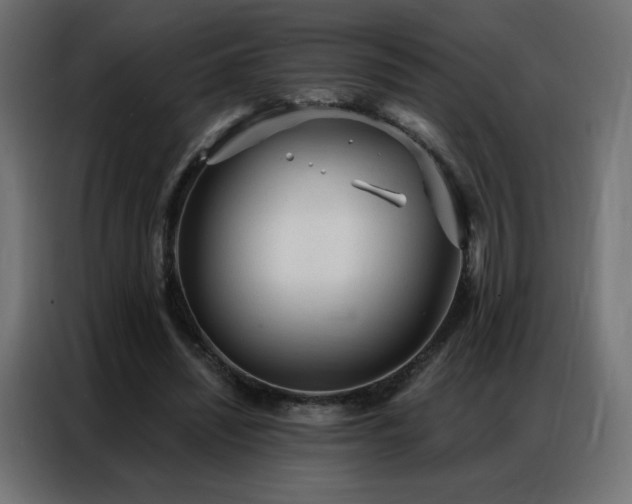 X0000086930444200704161428