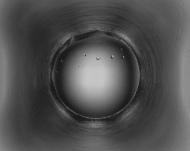 X0000086930445200704161428