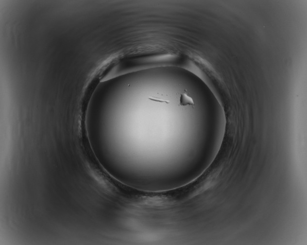 X0000086930446200704161428