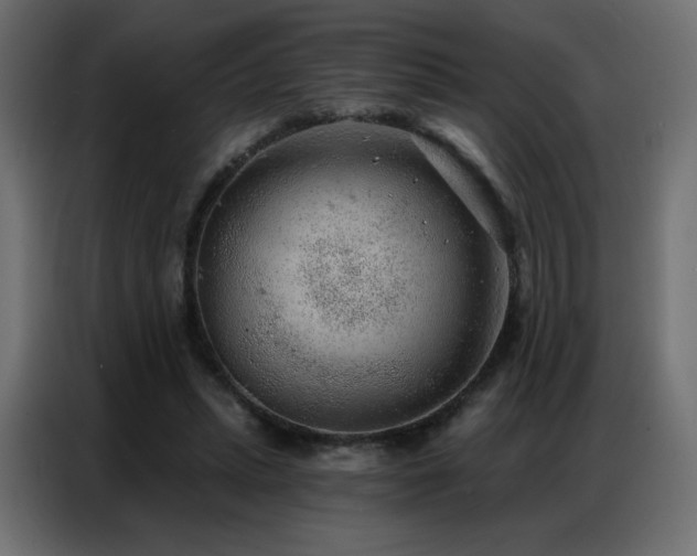 X0000086930447200704161428