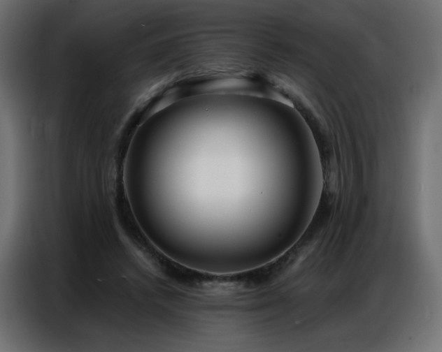 X0000086930448200704161428