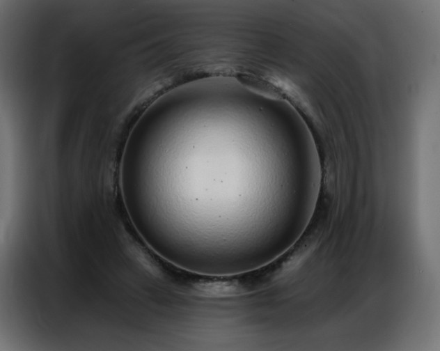 X0000086930449200704161428