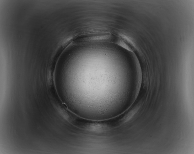 X0000086930453200704161428