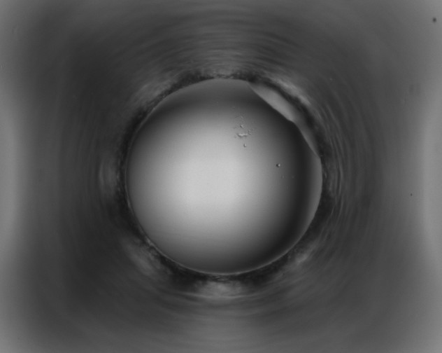 X0000086930455200704161428