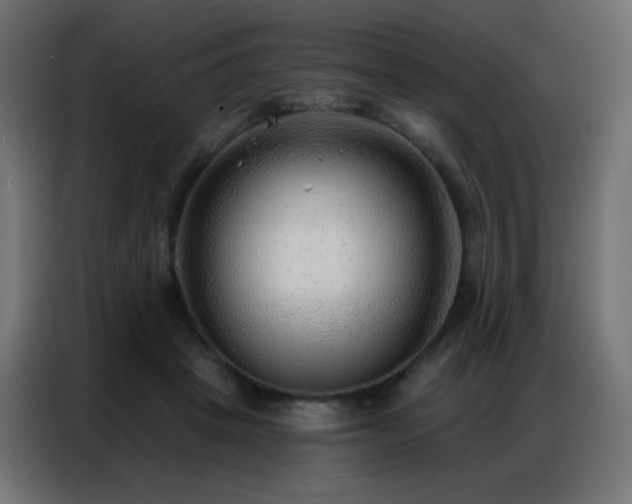 X0000086930457200704161428