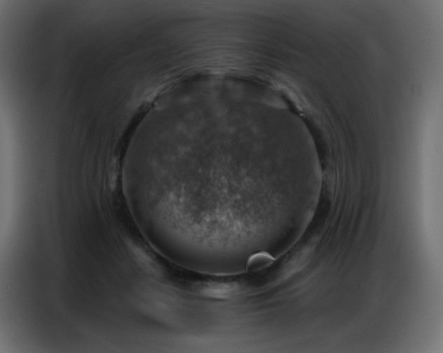 X0000086930458200704161428