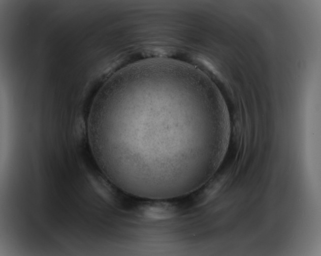 X0000086930459200704161428