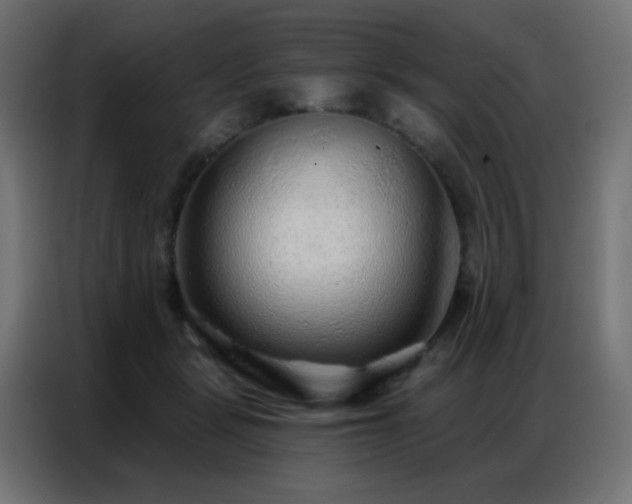 X0000086930461200704161428