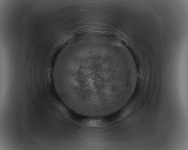 X0000086930462200704161428