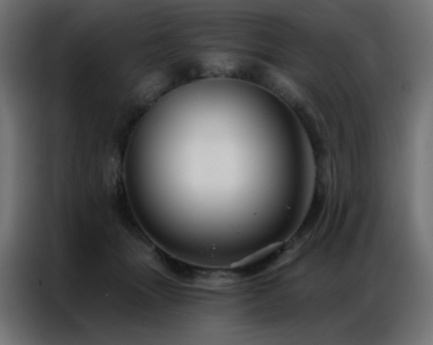 X0000086930463200704161428