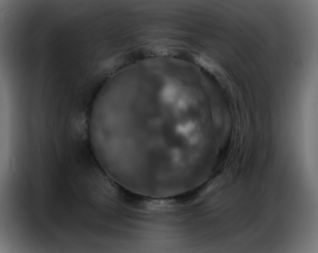 X0000086930465200704161428