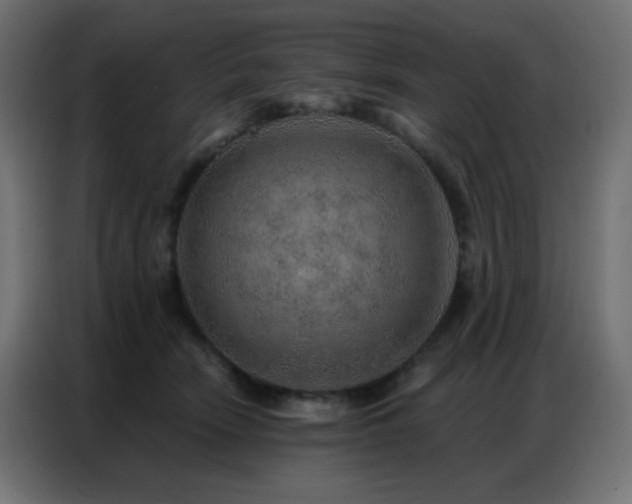 X0000086930466200704161428