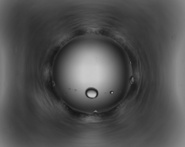 X0000086930468200704161428