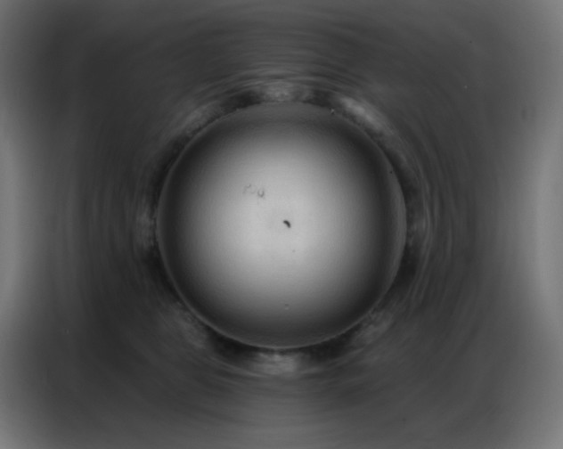 X0000086930469200704161428