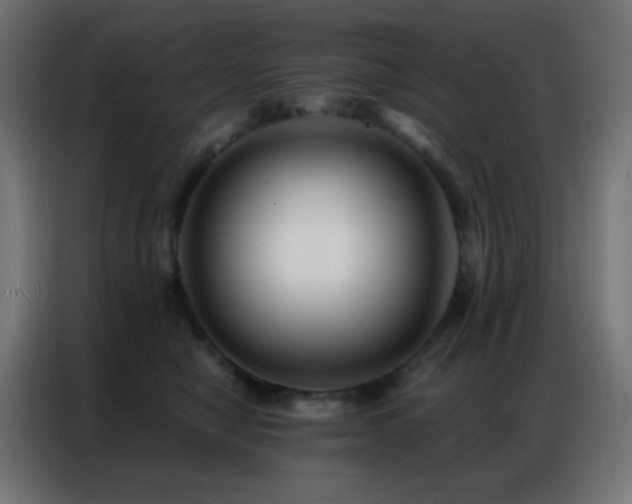 X0000086930470200704161428