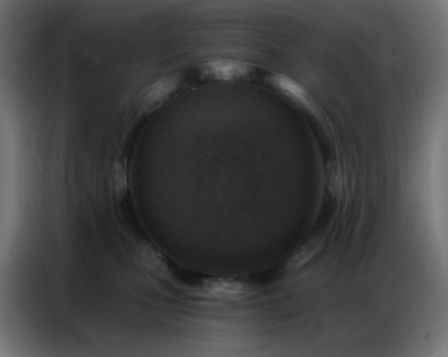 X0000086930471200704161428