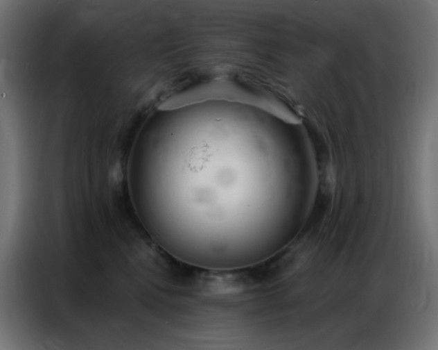 X0000086930472200704161428