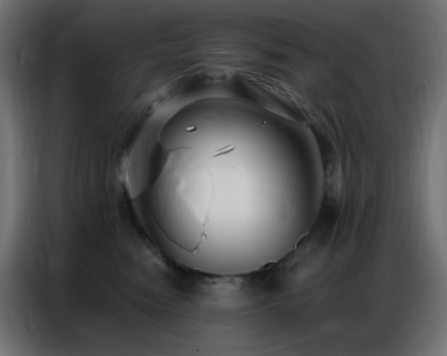 X0000086930474200704161428