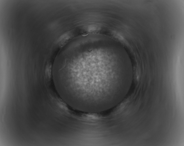 X0000086930475200704161428