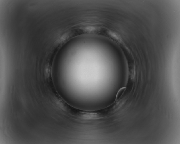 X0000086930476200704161428