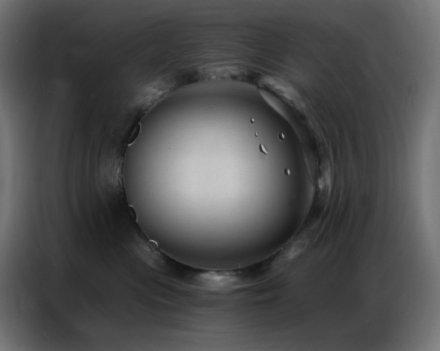 X0000086930477200704161428