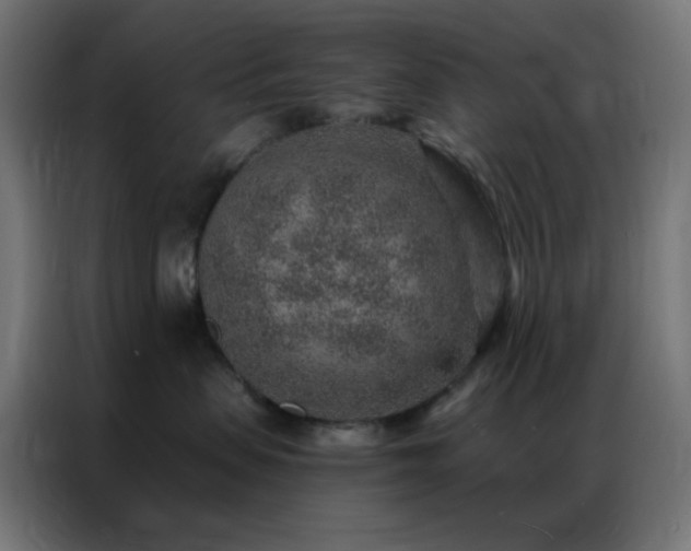 X0000086930479200704161428