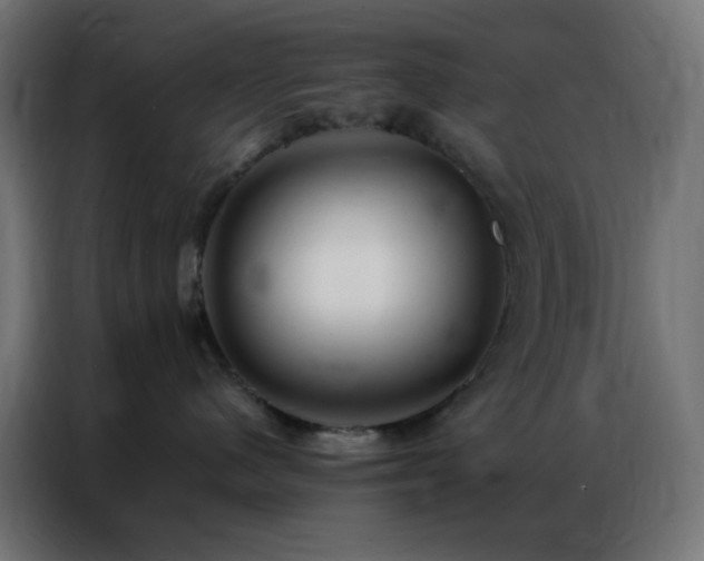 X0000086930480200704161428