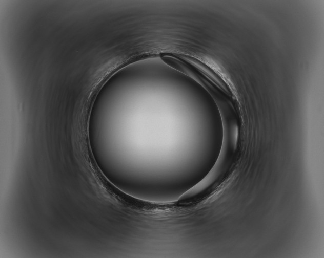 X0000086930481200704161427