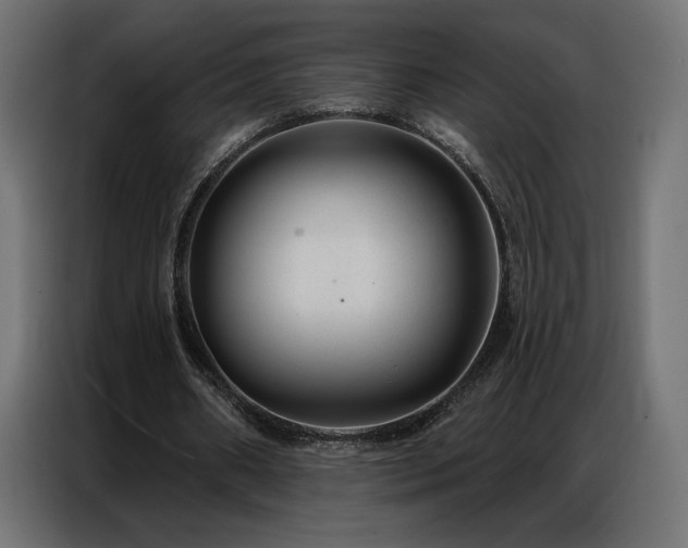 X0000086930482200704161427