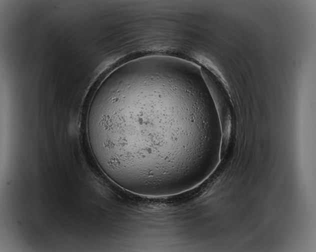 X0000086930483200704161427