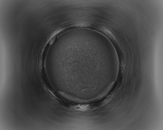 X0000086930484200704161427