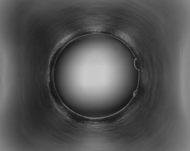 X0000086930486200704161427