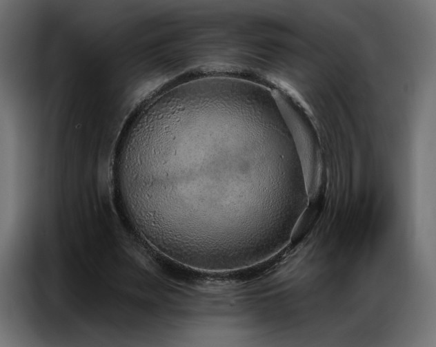 X0000086930487200704161427