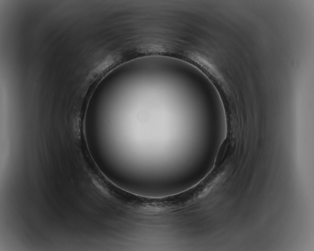 X0000086930489200704161427