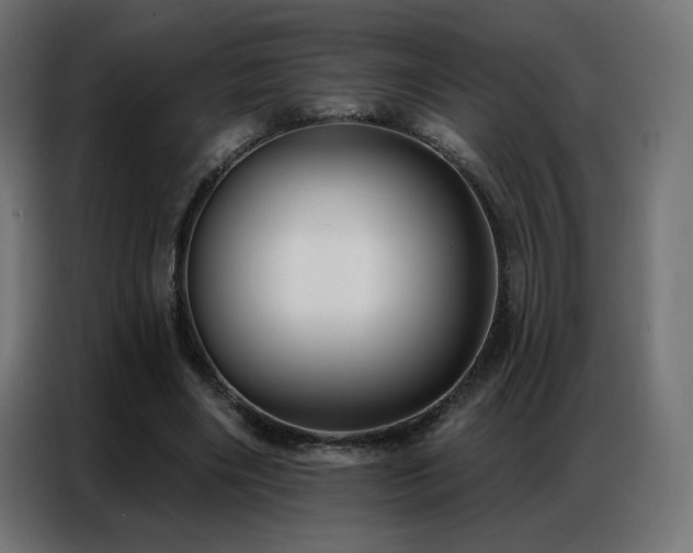 X0000086930490200704161427