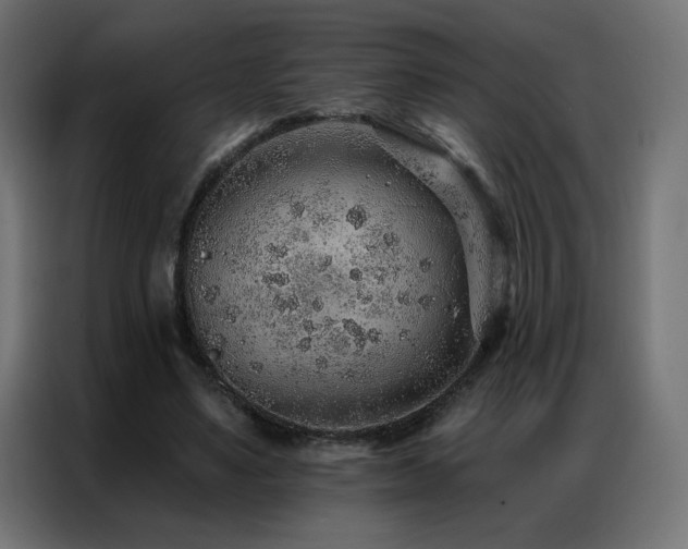 X0000086930491200704161427