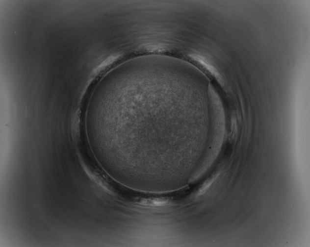 X0000086930492200704161427