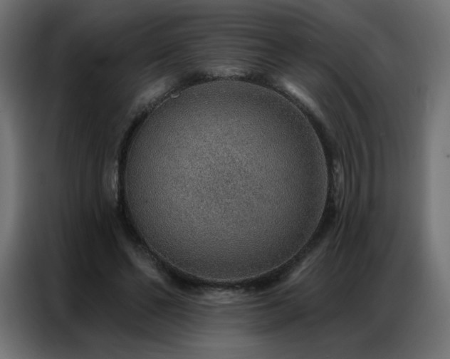 X0000086930494200704161427