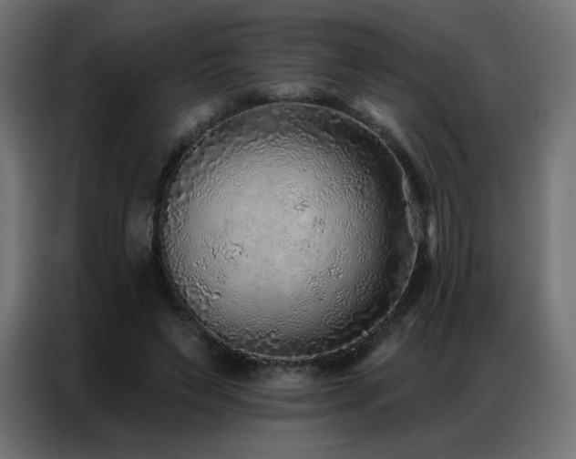 X0000086930495200704161427