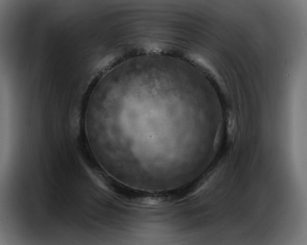 X0000086930496200704161427