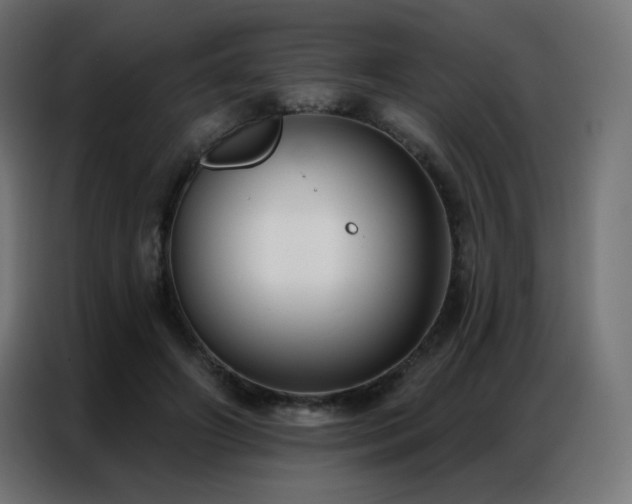 X0000086930498200704161427