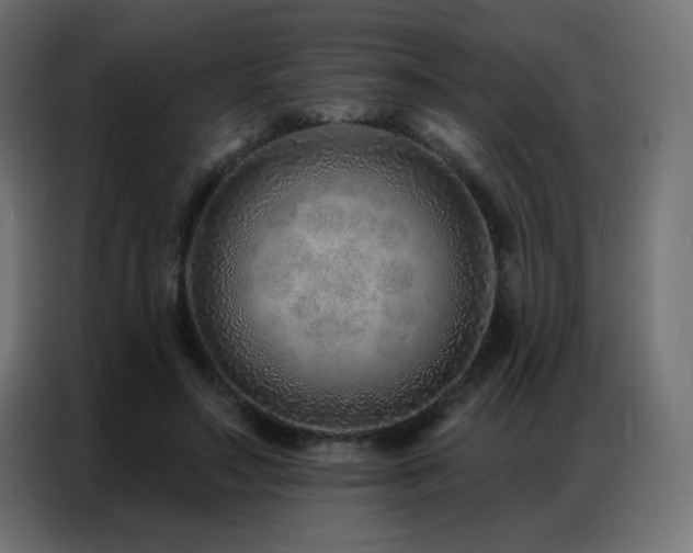 X0000086930499200704161427