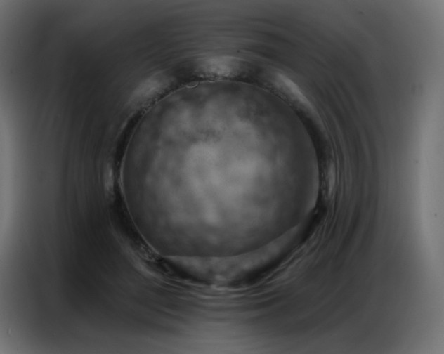 X0000086930500200704161427