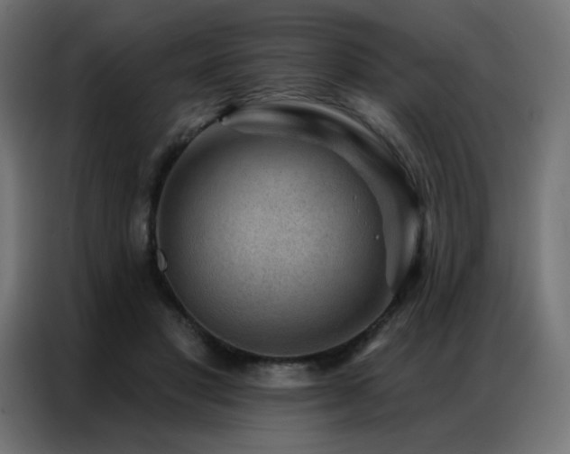 X0000086930501200704161427