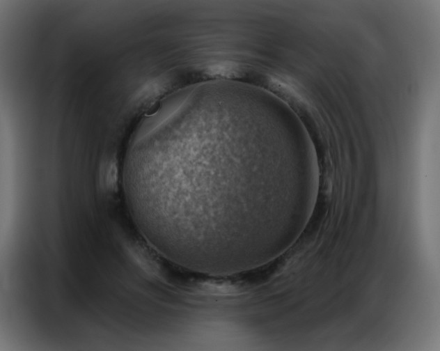 X0000086930502200704161427