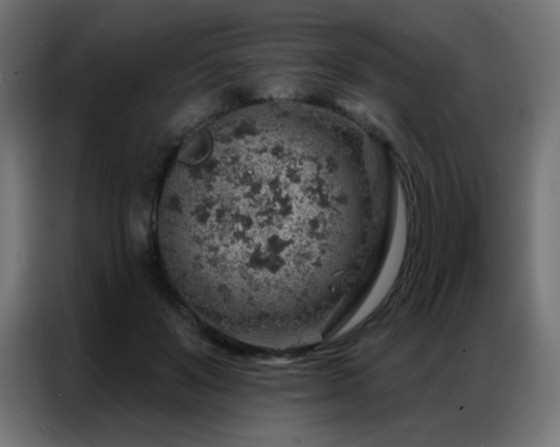 X0000086930503200704161427