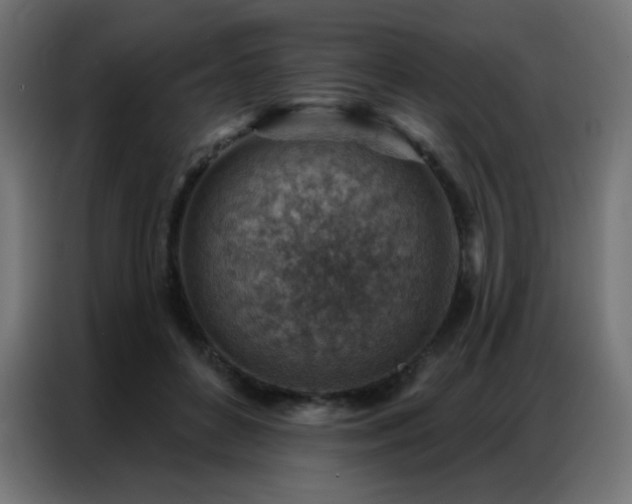 X0000086930504200704161427